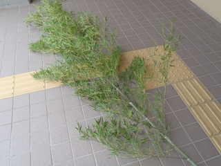 P7040090b.jpg